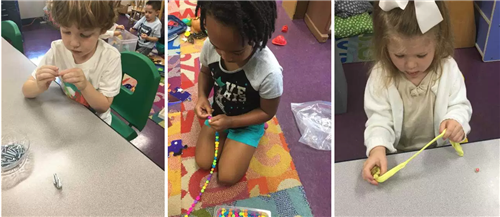 Fine Motor Skills 